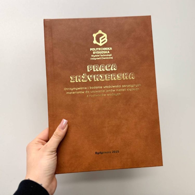 praca dyplomowa z logo-2 praca dyplomowa z logo-2