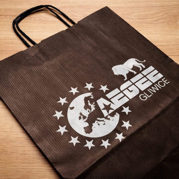 papierowe torby z nadrukiem-2 papierowe torby z nadrukiem-2